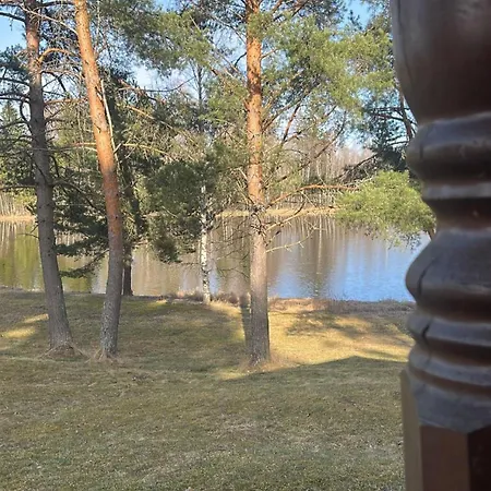 Haapasaari