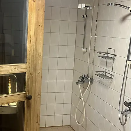 Haapasaari