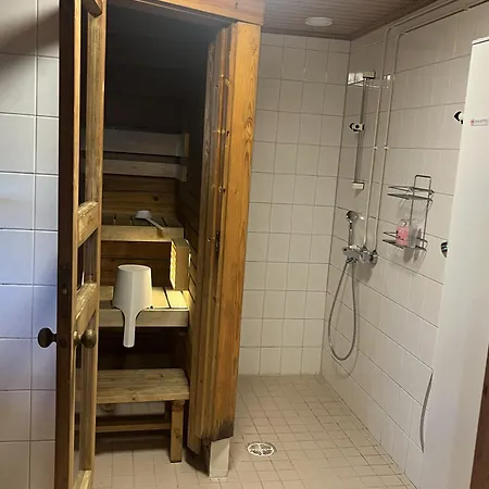 Haapasaari *