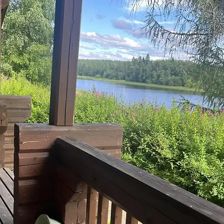 Haapasaari