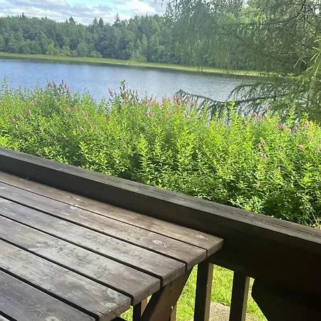 Haapasaari